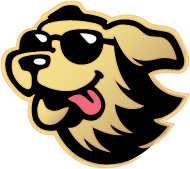 v3-koira-dog
