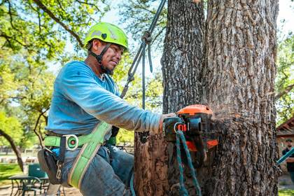 Arborist